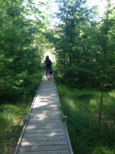 Things To Do With Kids In Bar Harbor, Maine - Creating My Kaleidoscope