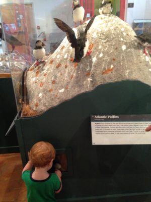 Things To Do With Kids In Bar Harbor, Maine - Creating My Kaleidoscope